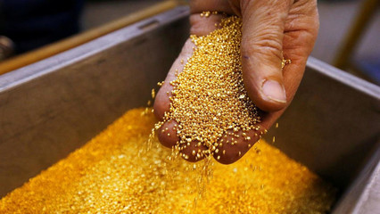 能拉“黃金屎”的細菌 科學奇觀還是商業泡沫？